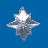 Online Richard Gabriel Jr. Bethlehem Star